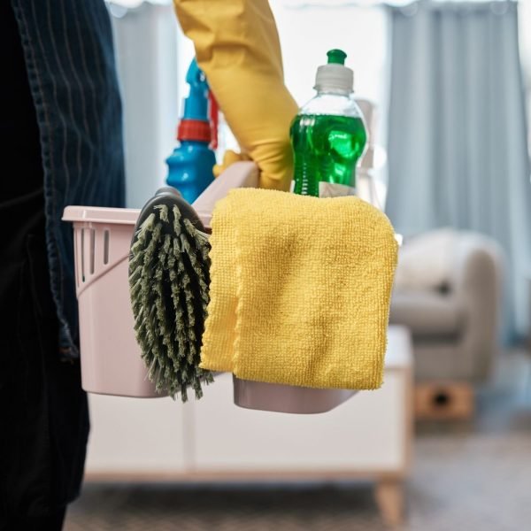 Cleaning,Product,,Chemical,And,Basket,With,Woman,In,Living,Room